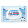 FRESH E CLEAN BUSTA 20 SALVIETTE (BOX12 Pz)