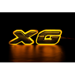 'COPPIA XG SOLO PLEXIGLAS...