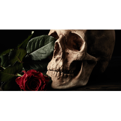 TENDA A RULLO PER CAMION -...