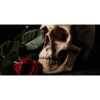 TENDA A RULLO PER CAMION - GRAFICA STANDARD - TESCHIO CON ROSA