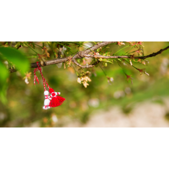 TENDA A RULLO PER CAMION - GRAFICA STANDARD - MARTENIZA