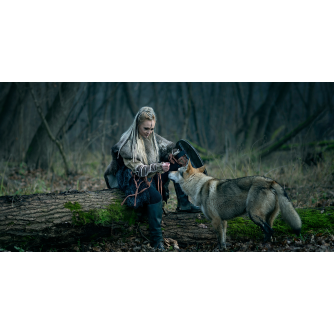 TENDA A RULLO PER CAMION - GRAFICA STANDARD - VICHINGA