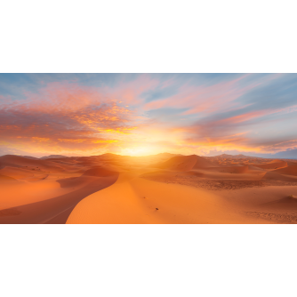 TENDA A RULLO PER CAMION - GRAFICA STANDARD - DESERTO