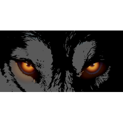 TENDA A RULLO PER CAMION -...