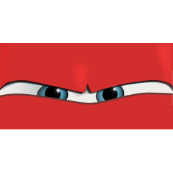 TENDA A RULLO PER CAMION -...