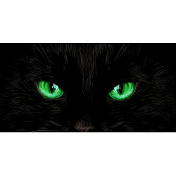 TENDA A RULLO PER CAMION -...