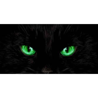 TENDA A RULLO PER CAMION - GRAFICA STANDARD - OCCHI DI GATTO