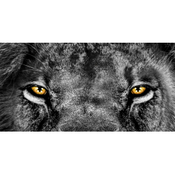 TENDA A RULLO PER CAMION -...